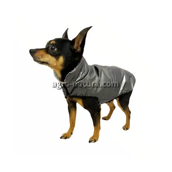 Abrigo Metalizado ALPHA DOG