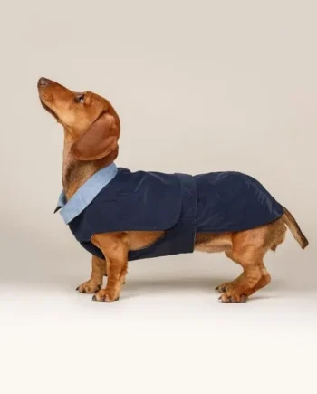Abrigo para perro - Trench Prestige Azul