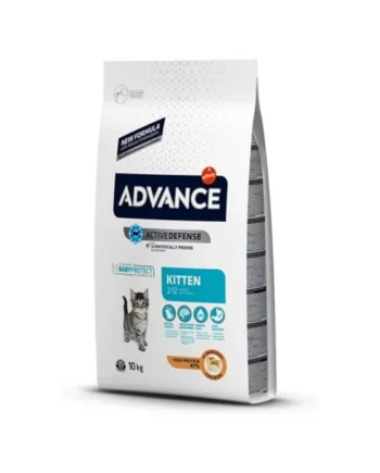 Advance Cat Kitten