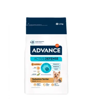 Advance Dog Yorkshire Terrier Adult