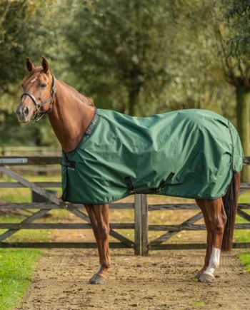 Agradi by Bucas Turnout Rug Verde Negro