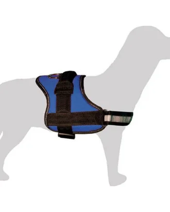 Arnés acolchado para perro