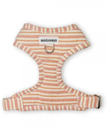Arnés Ajustable Pomelo y Limón