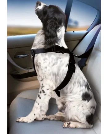 Arnés de Coche para Perros Ajustable y Seguro | Viajes en Coche