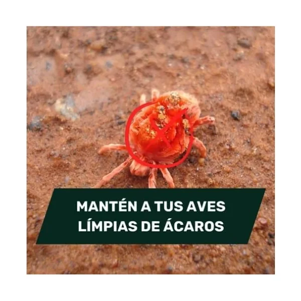 AVINATURA ANTIRED – Antiparasitario para Aves natural