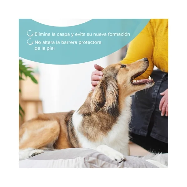 Beaphar Champú Anticaspa para Perros y Gatos