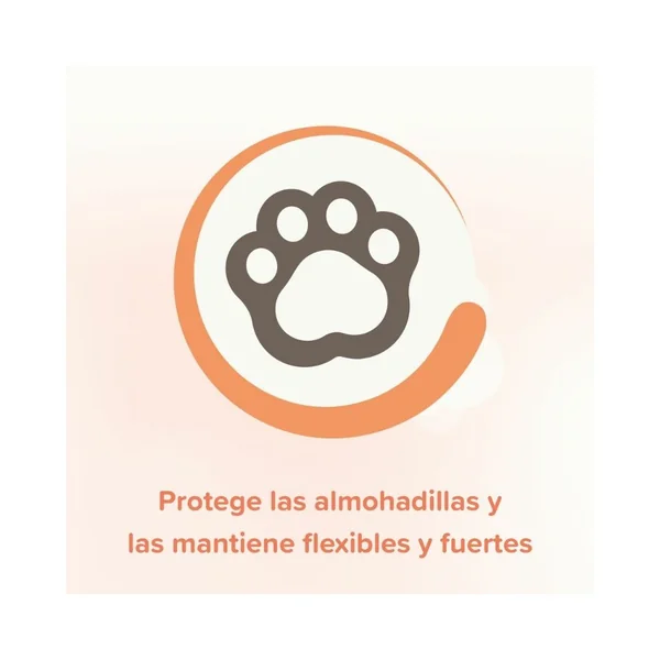 Beaphar Spray Protector de Almohadillas para Perros y Gatos