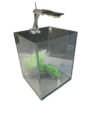 Bettera de cristal - 4 L