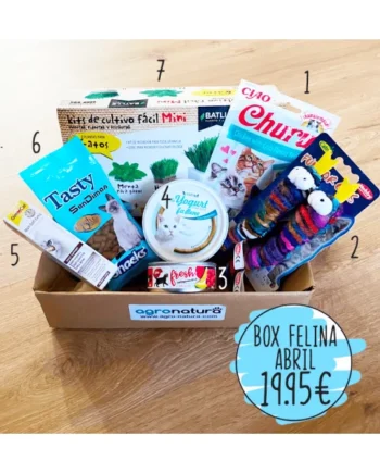 BOX FELINA - ABRIL