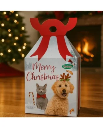 Caja para regalo de Navidad