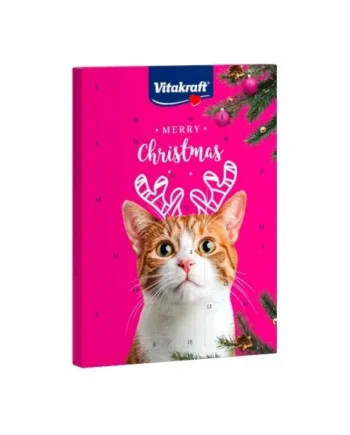 CALENDARIO adviento NAVIDAD - gatos