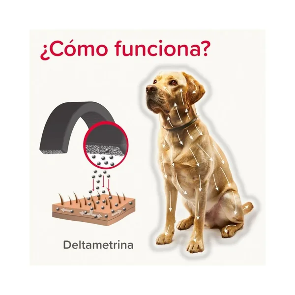 Canishield Collar Antiparasitario para Perros Pequeños y Medianos (2 uds)