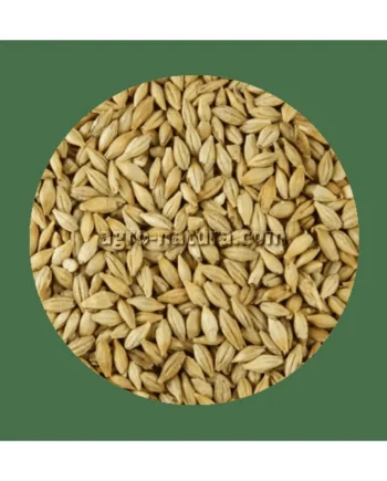 Cebada 25 kg
