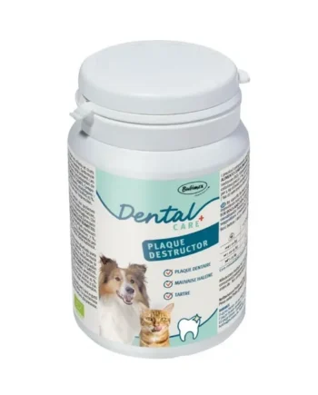 Dental + plaque destructor 80g