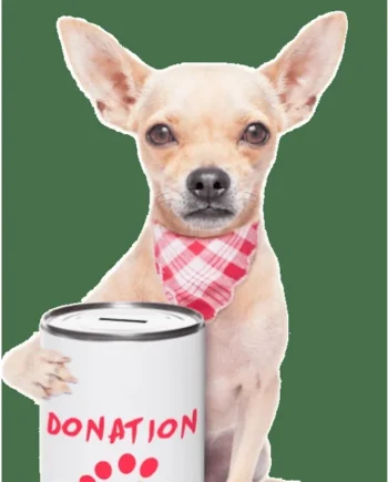 Donación Mas dels Peluts