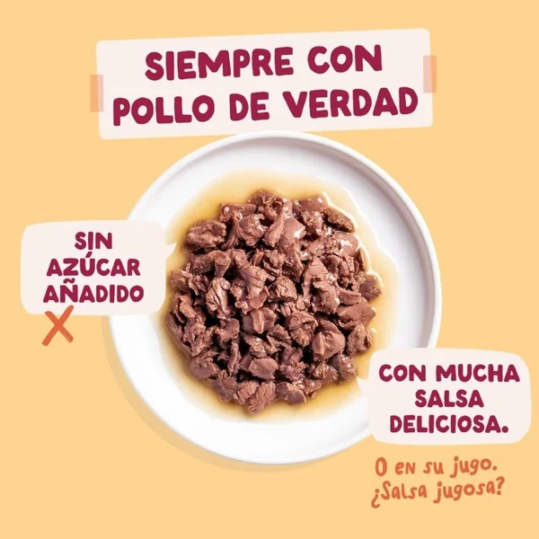 Edgard and Cooper Sobre de Pollo en Salsa para Gato