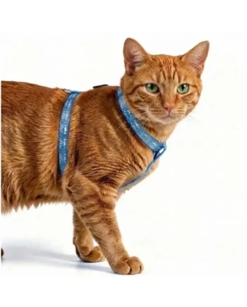 Freedog Arnés Reflectante Azul para Gato