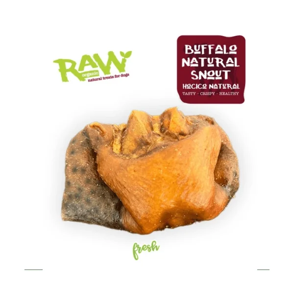 Fresh Raw Hocico natural de búfalo - 12 und