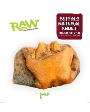 Fresh Raw Hocico natural de búfalo - 1 und