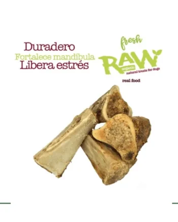 Fresh Raw Hueso de tibia relleno de búfalo - 1 und blister