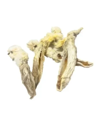 Fresh Raw Oreja de conejo con pelo - 1 und