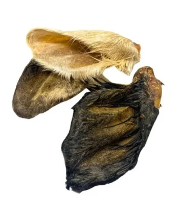 Fresh Raw Oreja de ternera con pelo - 1 und