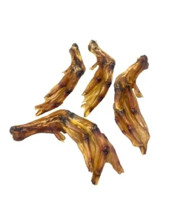 Fresh Raw Patas de pato - 1 und