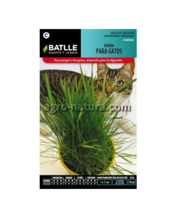 Hierba para gatos - BATLLE