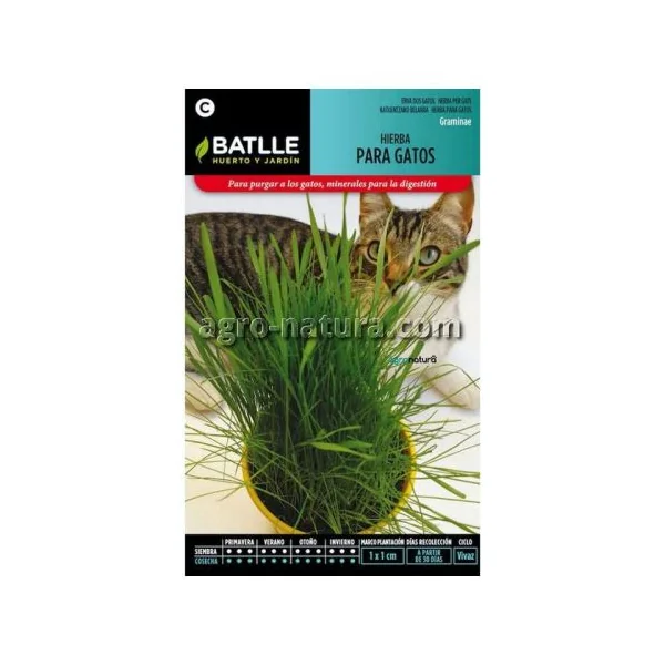 Hierba para gatos - BATLLE
