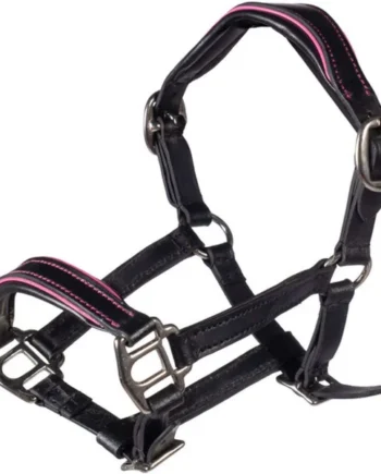 HKM Hobby Horsing Cabestro de cuero Negro/Rosa