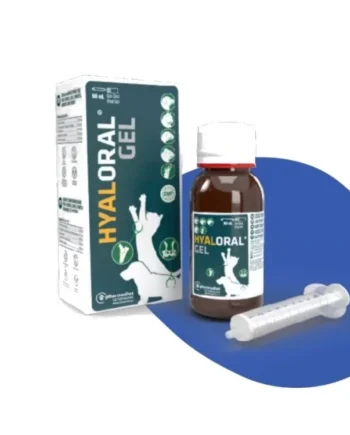 HYALORAL GEL - Para pequeños animales