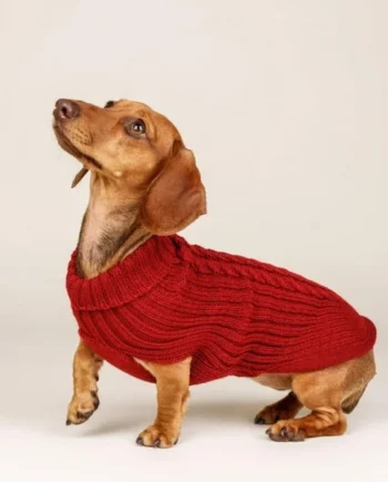Jersey Para Perro Trenzado Burdeos