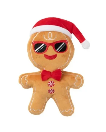 Mr. GingerBread FuzzYard