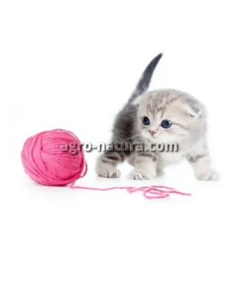 Ovillo de Lana Gatos