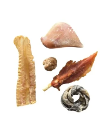 Pack 5 - snack natural (degustación) para perros