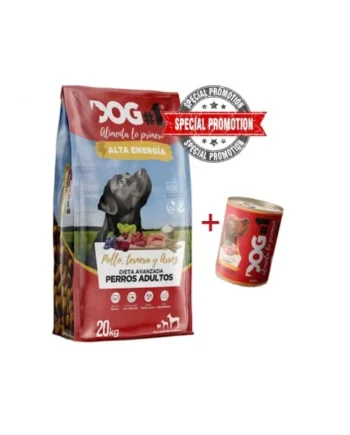 Pack Dog#1 Alta energía + Lata Dog#1