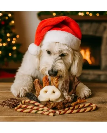 Pack - Snacks naturales para perros - Navideño