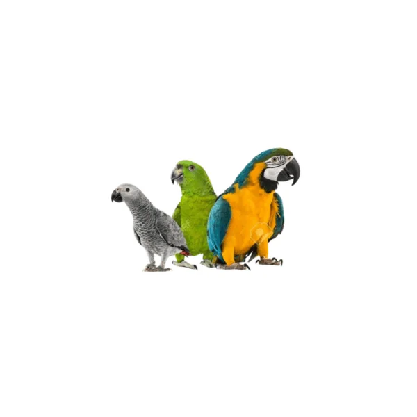 Pio-pa Alimento para Loros - 600 gr