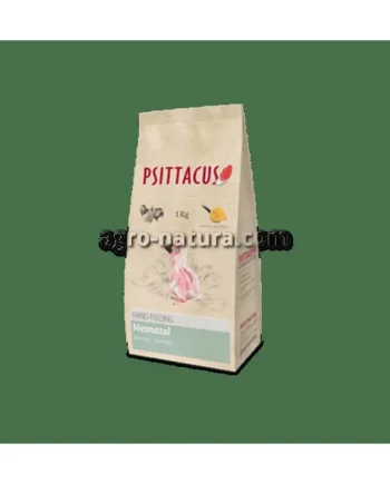 Psittacus Papilla Neonatal