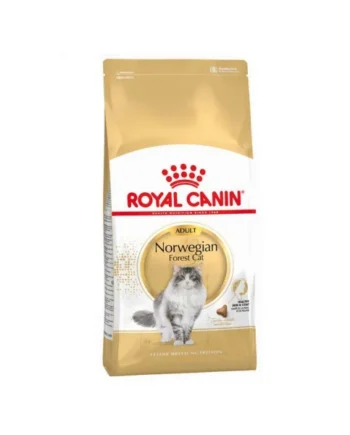 Royal Canin Gato Norwegian Forest Cat