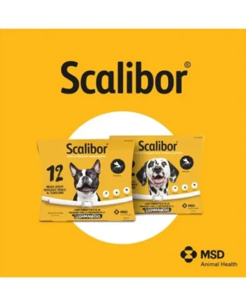 SCALIBOR 0,76 g COLLAR PARA PERROS DE RAZAS PEQUEÑAS