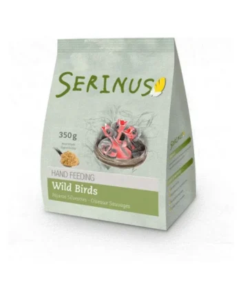 Serinus Papilla Aves Silvestres Psittacus