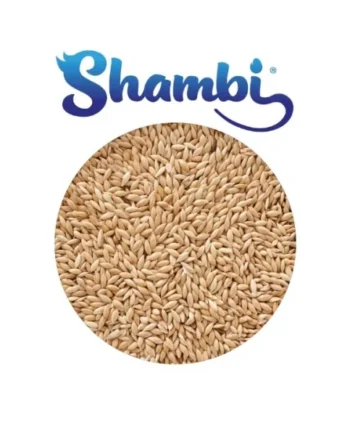 SHAMBI - Alpiste 1-5 kg