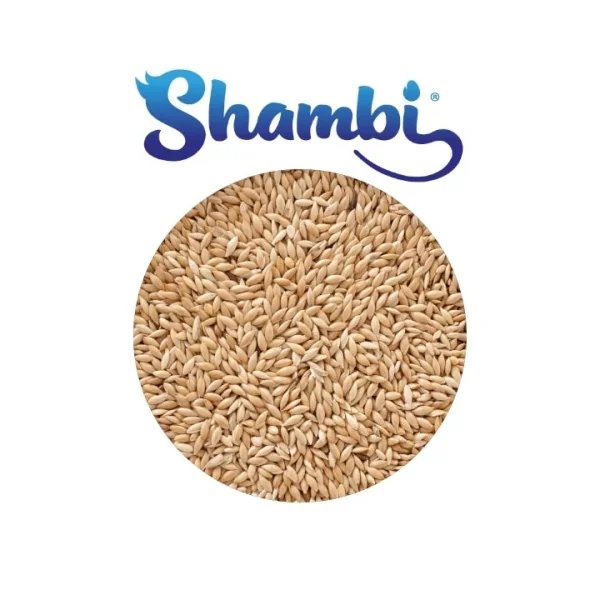 SHAMBI - Alpiste 1-5 kg