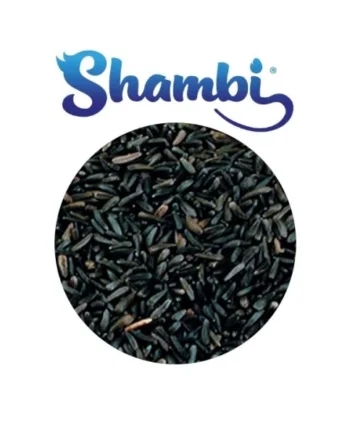 SHAMBI - Negrillo 1kg