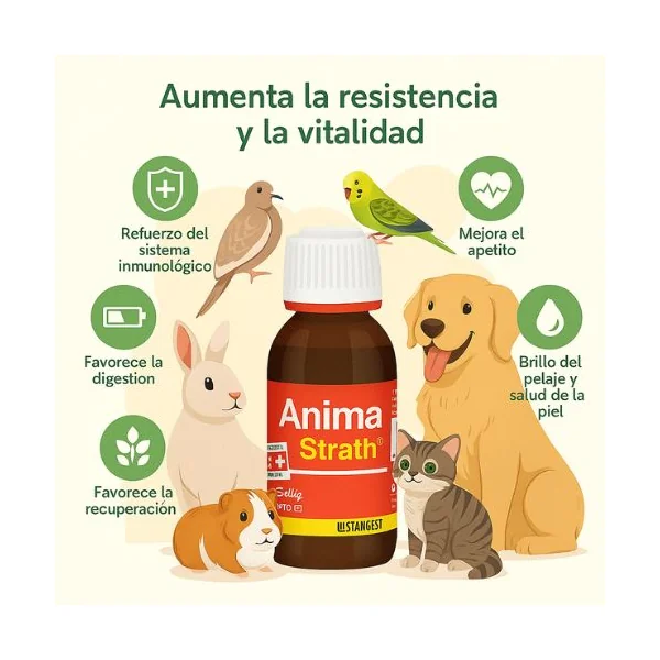 Suplemento Alimenticio ANIMA STRATH 100 ml