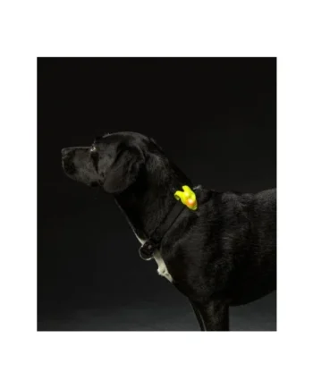 TRIXIE BALEAR SL