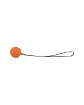 TRIXIE BALEAR SL
