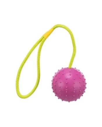 TRIXIE BALEAR SL