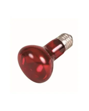 TRIXIE BALEAR SL